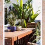 How to Decorate With the Best Patio Plants, as Seen in Our Favorite Outdoor Spaces