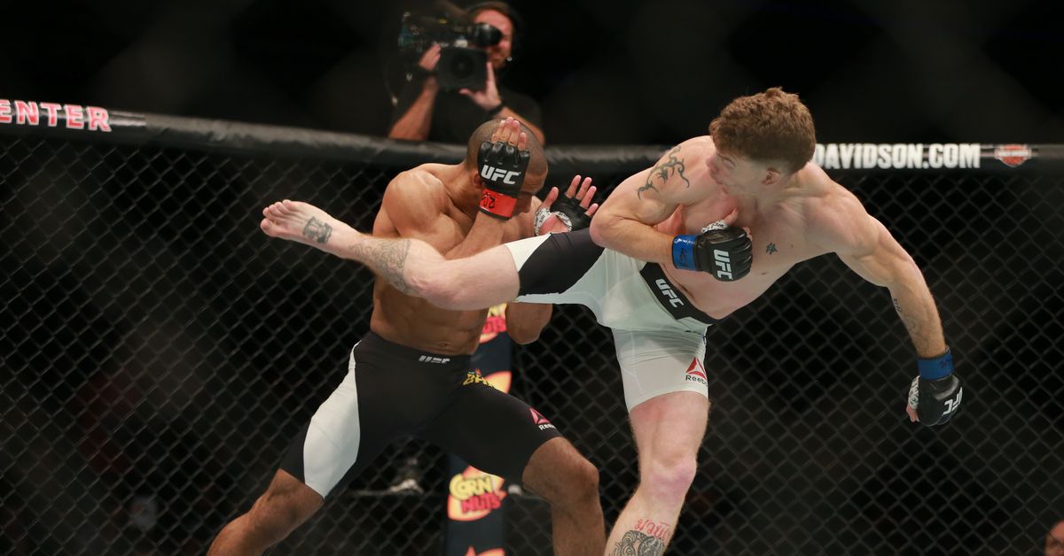 UFC 242 Clash: Barboza Vs