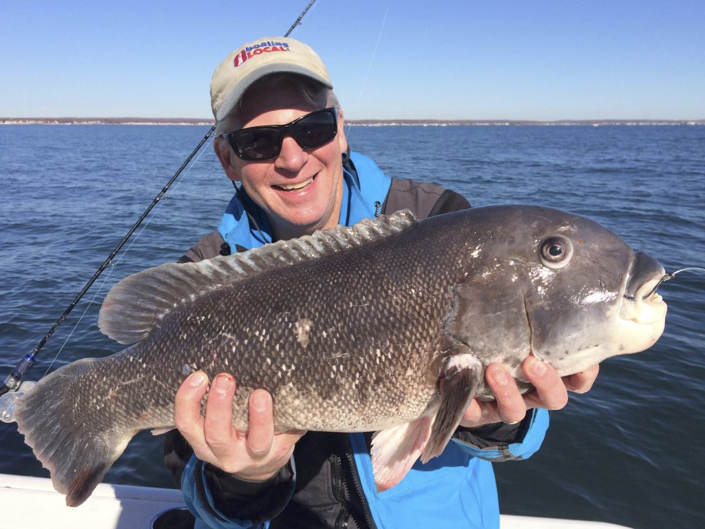 Tautog provide some of the earliest saltwater fishing opportunities for New England anglers.Once the dandelions start to pop up on the lawns of Southern New England, savvy bottom fishermen reach for their tautog gear