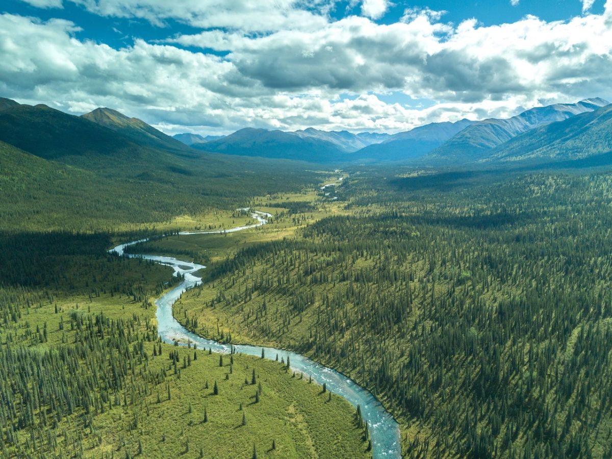 Best things to do in Northern BC