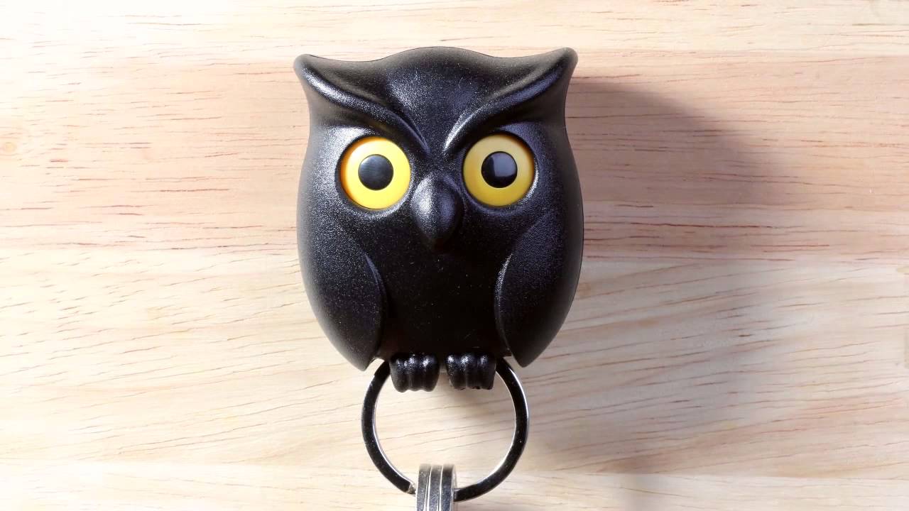 This wise owl dominates the night