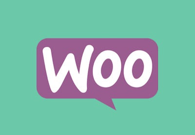 Use the WooCommerce API to Customize Your Online Store