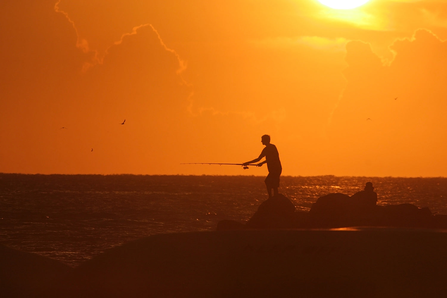 Surf Fishing 101: Your Guide to Angling on the Beach