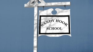 The disappointing truth about the Sandy Hook settlement