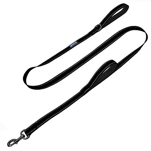 The Best Dog Leashes (2020 Reviews)