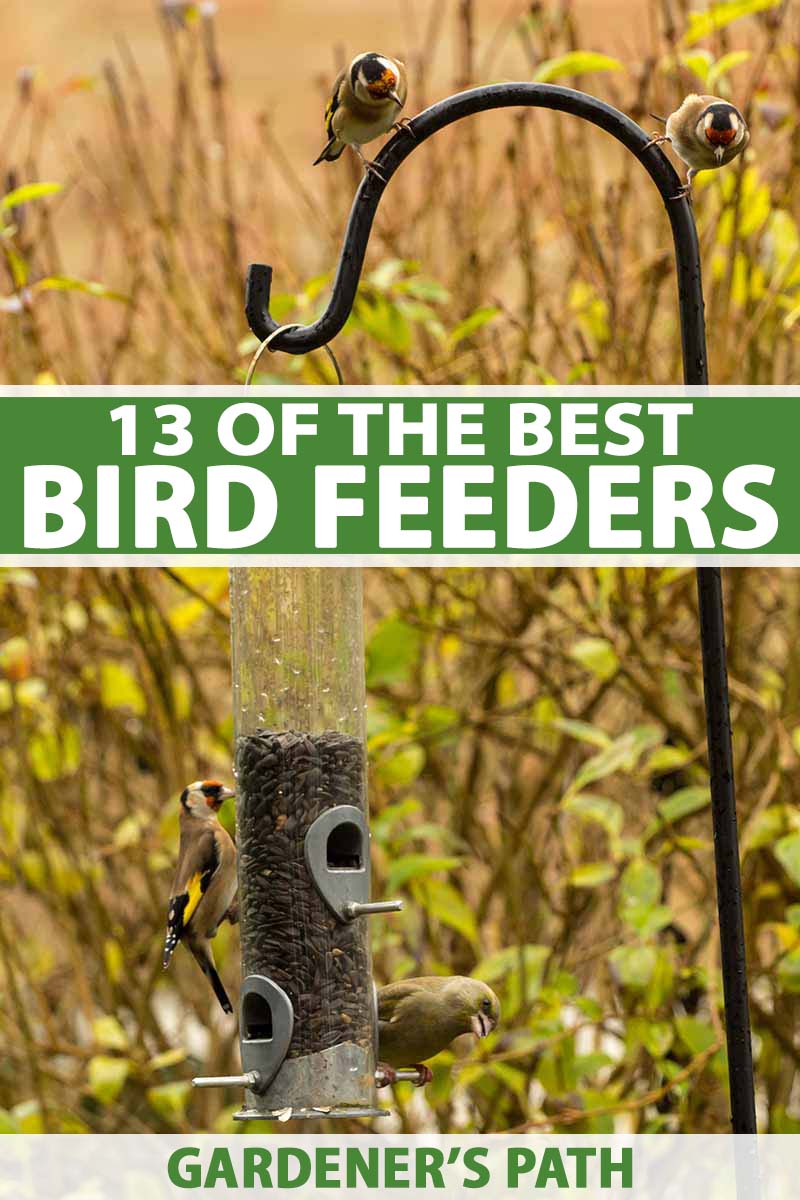 13 Bird Feeders Reviewed: What You Need to Know Before You Buy